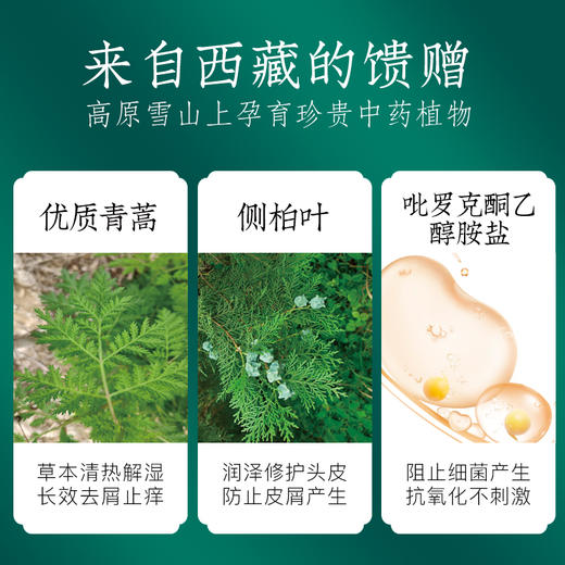 老米优品 /米妈亲测，想要头发蓬松选它没错！头皮清道夫。头皮油、有头屑、头皮易痒用它，蔚雨堂青蒿头皮素 头皮清洁洗发水，专洗头皮去屑控油脂260ml/瓶 商品图9