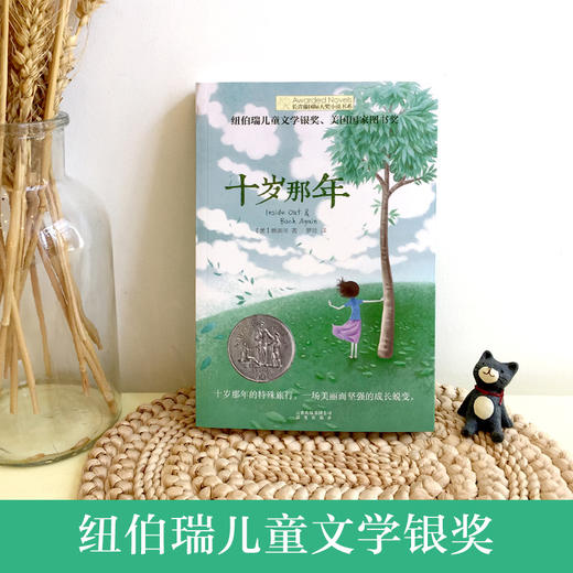 新版 十岁那年 商品图5