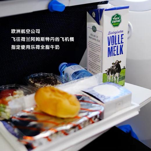 【乐荷】荷兰原装进口有机全脂纯牛奶 商品图4