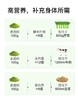 【乐购】 有机大麦若叶青汁粉（全新升级口感1000目） 商品缩略图5