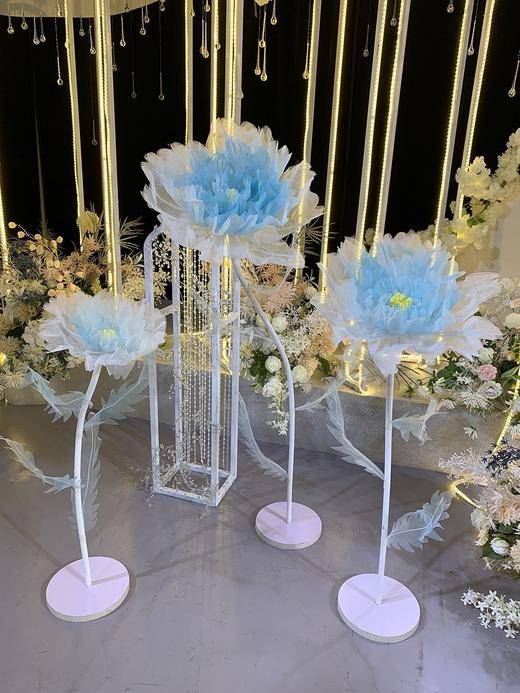 双色丝花【运费自理】 商品图12