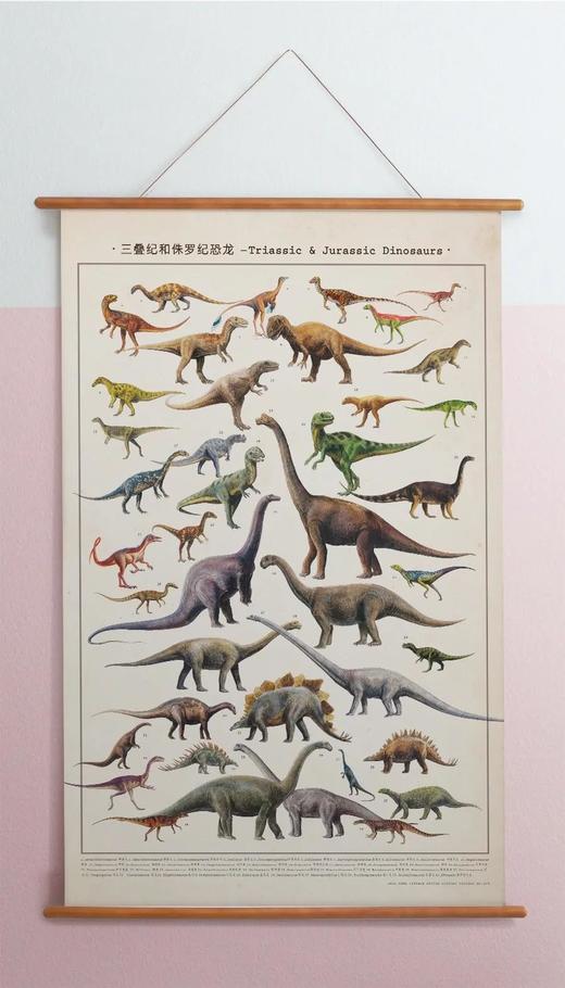伽罗 JALO 博物画-三叠纪和侏罗纪恐龙 P199（预计10天内发货） 商品图1