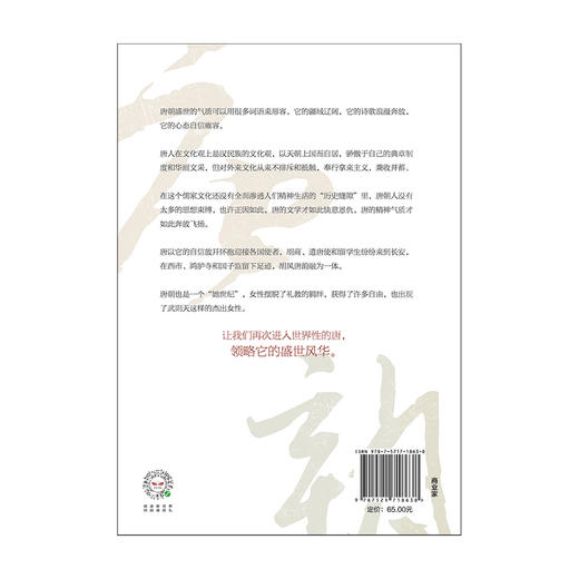 唐朝的想象力 蒲实 丘濂著 盛唐气象的7个侧面唐朝文化生活中国古代历史书籍 商品图3