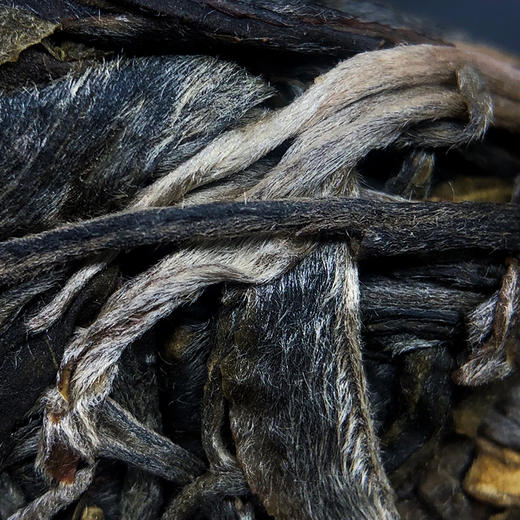 凰馨古茶【百花潭】普洱生茶2020年600古树春茶200g 商品图1