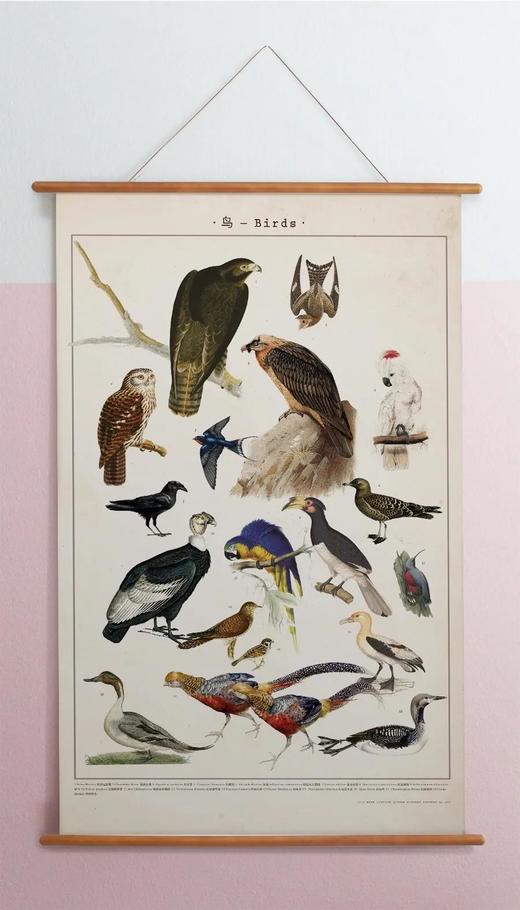 伽罗 JALO 博物画-鸟 P201/P202（预计10天内发货） 商品图1