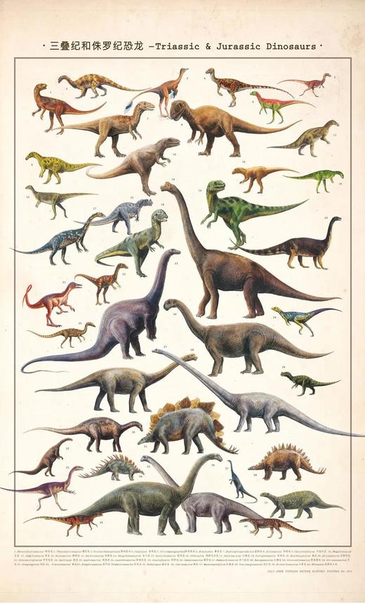 伽罗 JALO 博物画-三叠纪和侏罗纪恐龙 P199（预计10天内发货） 商品图0