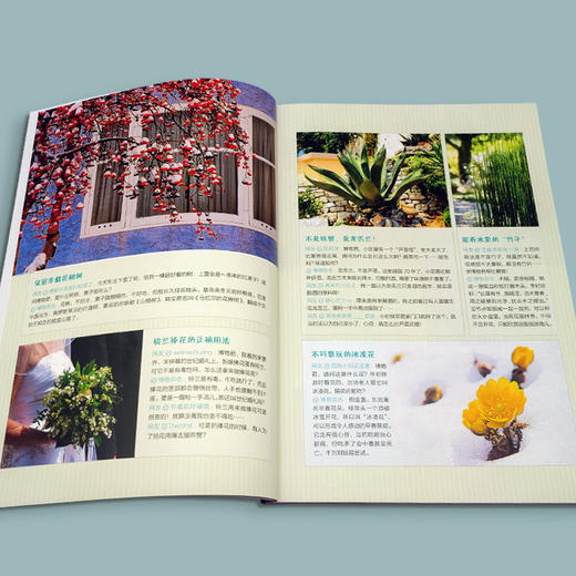 博物文创 “天地万物返本真”博物科普礼盒 博物君式科普 10年科普秘籍 商品图2