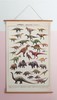 伽罗 JALO 博物画-白垩纪恐龙 P197/P198（预计10天内发货） 商品缩略图1