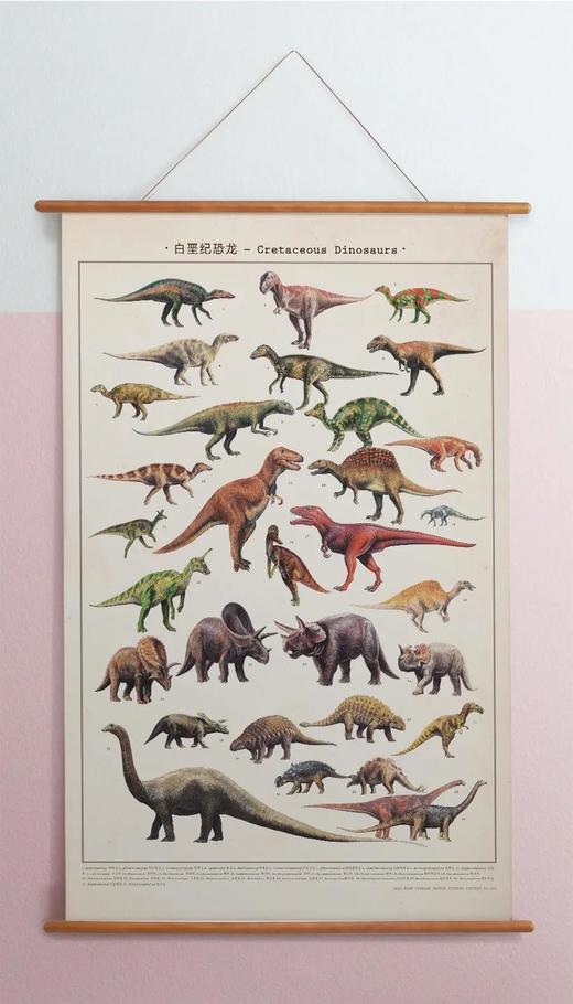 伽罗 JALO 博物画-白垩纪恐龙 P197/P198（预计10天内发货） 商品图1