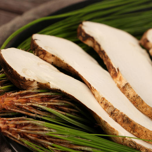 产地直采云南野生菌香格里拉野生新鲜松茸1113cm新鲜现采出口一级