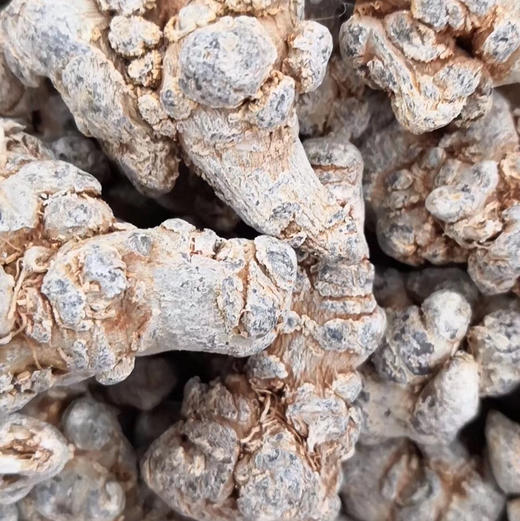 1F北京同仁堂 29头三七 商品图0