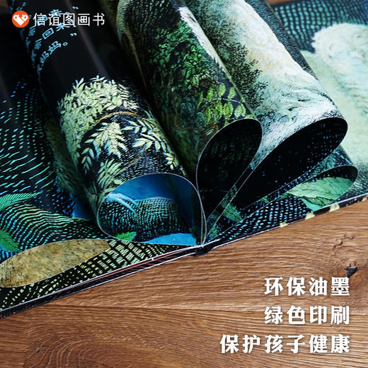 信谊世界精选图画书：小猫头鹰   精装 商品图3