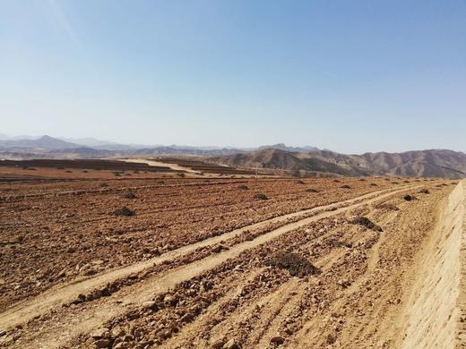 小米---净田社自产（24年种的谷子，现磨现卖） 商品图1