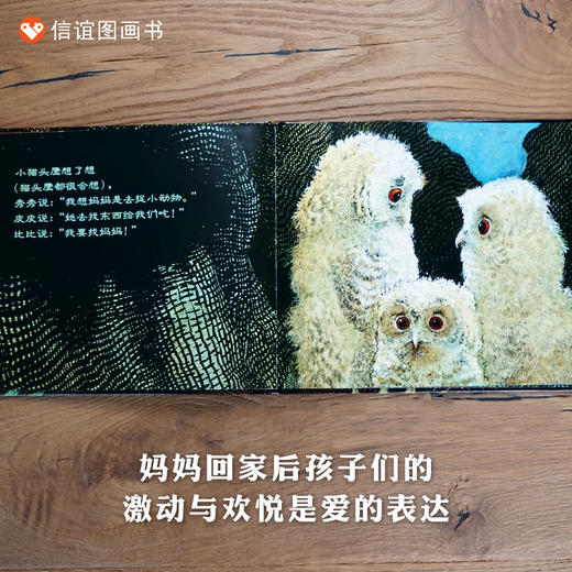 信谊世界精选图画书：小猫头鹰   精装 商品图2