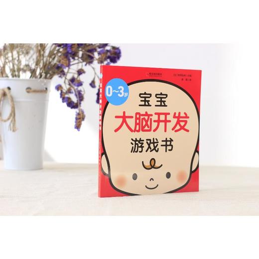 0-3岁宝宝大脑开发游戏书 商品图4