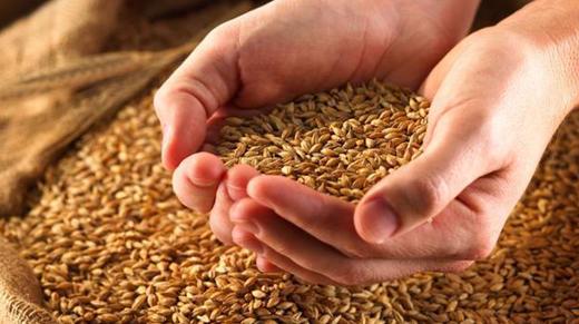 失业日记（十四）劝饭 商品图0