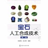 宝石人工合成技术 第二版  何雪梅 化学工业出版社 9787122080325 商品缩略图0