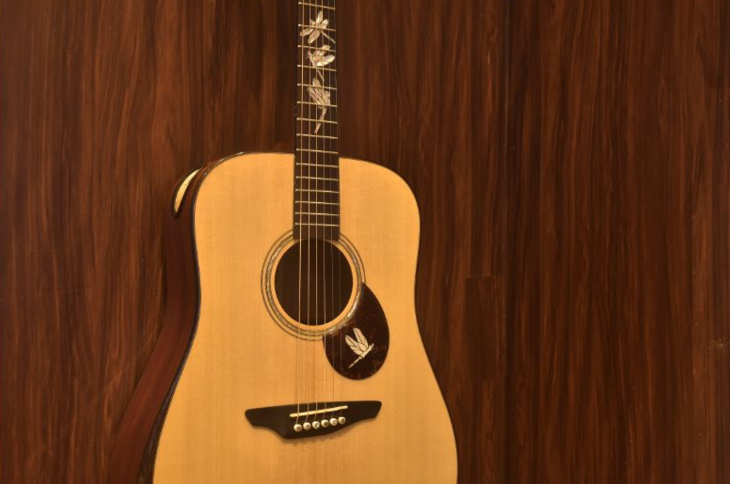 monet莫奈 wg-500jc s.f.t 40寸单板加振电箱吉他