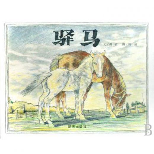 驿马 精装 商品图1