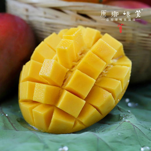 云南干热河谷有机芒果（基地直发-顺丰快递）| 现发小贵妃芒果，来自云南楚雄生产者：庄代康【合作生产，公平贸易】 商品图6