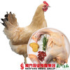【全国包邮】阳山鸡 毛重3.5斤/只（72小时之内发货） 商品缩略图0