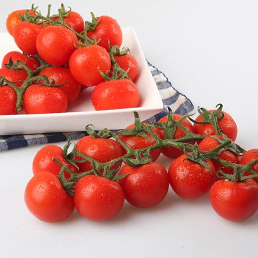 限量秒杀后院有机爆汁串串红小柿子秒杀价5斤仅需58元再赠一份蔬菜