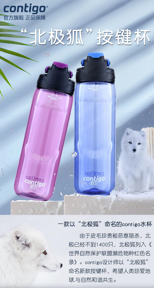 美国Contigo康迪克北极狐防漏按键杯成人运动健身便携水杯 商品图1