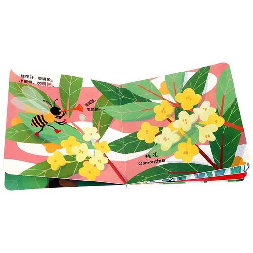 傲游猫-香喷喷的发声书（2册）原价113.6 商品图5