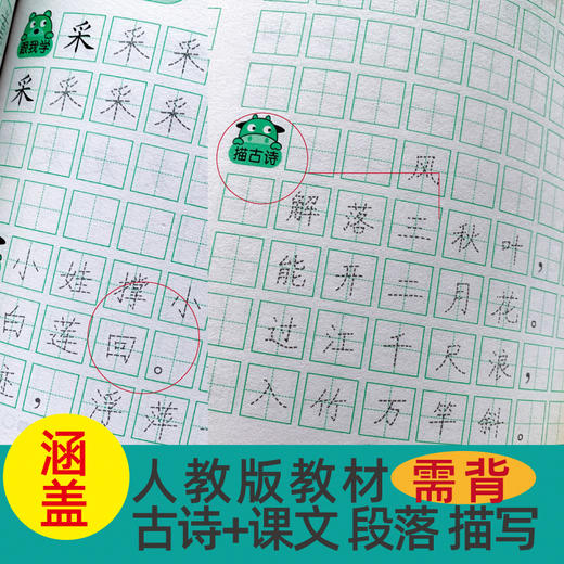 为一年级做准备（全4册）数学描红+拼音描红+300生字上+300生字下 幼小衔接一日一练字帖数学拼音汉字语文数字描红0到100笔顺笔画0到10一20学前班练习册幼儿园书籍早教大班练习本幼升小教材全套 商品图4