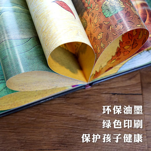 【学校推荐小学课外阅读读物】信谊世界精选图画书：风到哪里去了 精装3-8岁 商品图3