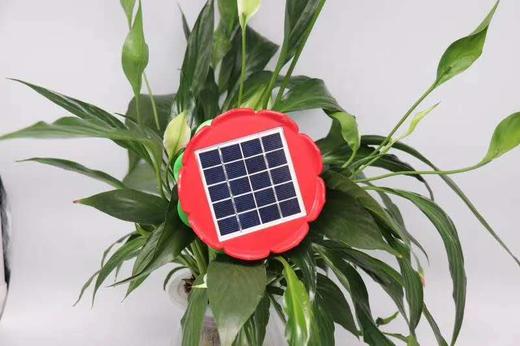 小莲花太阳能音频机 商品图0