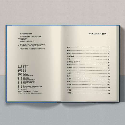 《白洋淀纪事》 商品图3