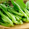 小青菜（400g）因手工捕虫，不用农药，虫眼较多哦 商品缩略图1