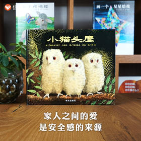 信谊世界精选图画书：小猫头鹰   精装