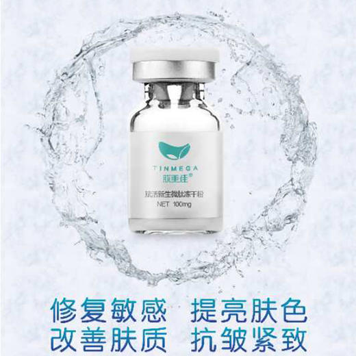 暨大冻干粉10支 商品图2