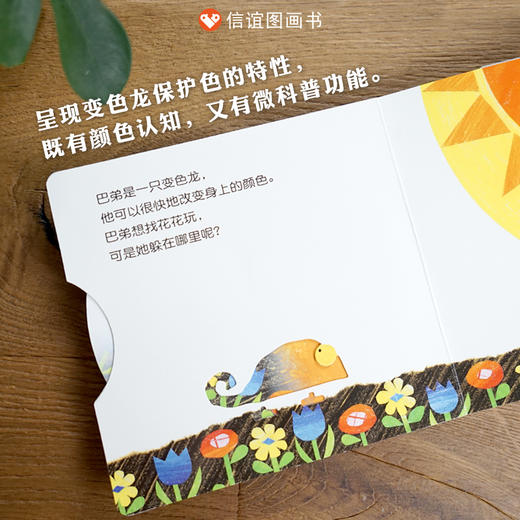 信谊宝宝起步走：变色龙捉迷藏  纸板游戏书 商品图1