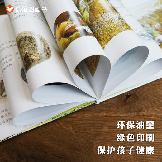 【生命教育】信谊世界精选图画书：獾的礼物 商品图3