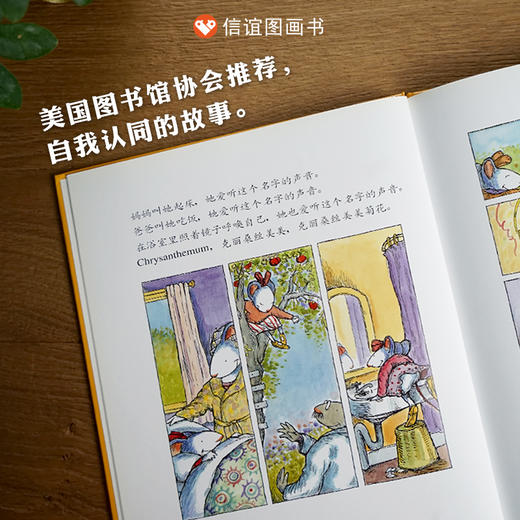 【树立自信心】信谊世界精选图画书：我的名字克丽桑丝美美菊花   精装 商品图2
