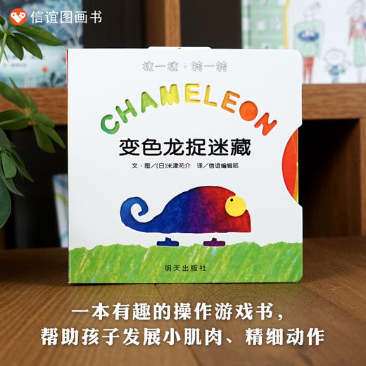 信谊宝宝起步走：变色龙捉迷藏  纸板游戏书 商品图0