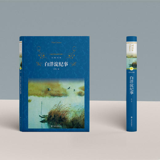 《白洋淀纪事》 商品图1