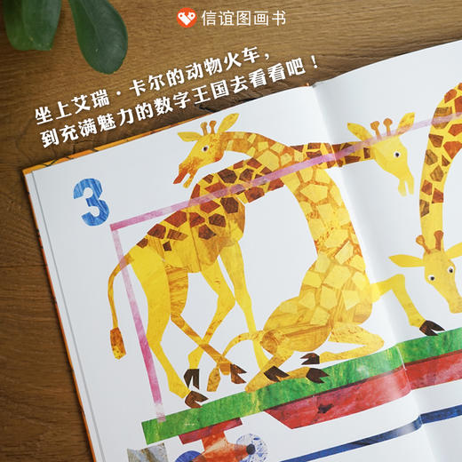 【建立顺序和数量概念】信谊宝宝起步走:1,2,3到动物园 商品图1