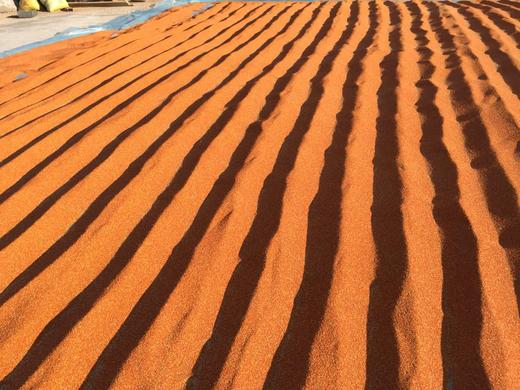 小米---净田社自产（24年种的谷子，现磨现卖） 商品图2