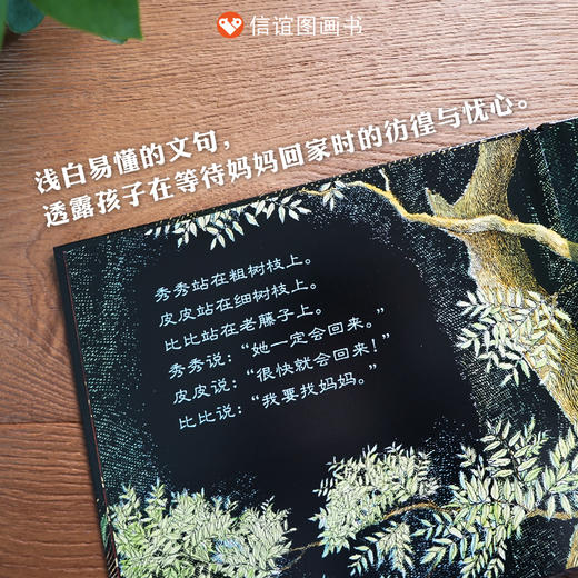 信谊世界精选图画书：小猫头鹰   精装 商品图1