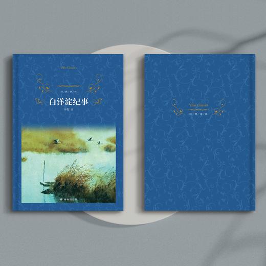 《白洋淀纪事》 商品图2