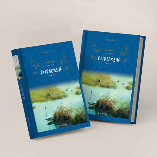 《白洋淀纪事》 商品图5