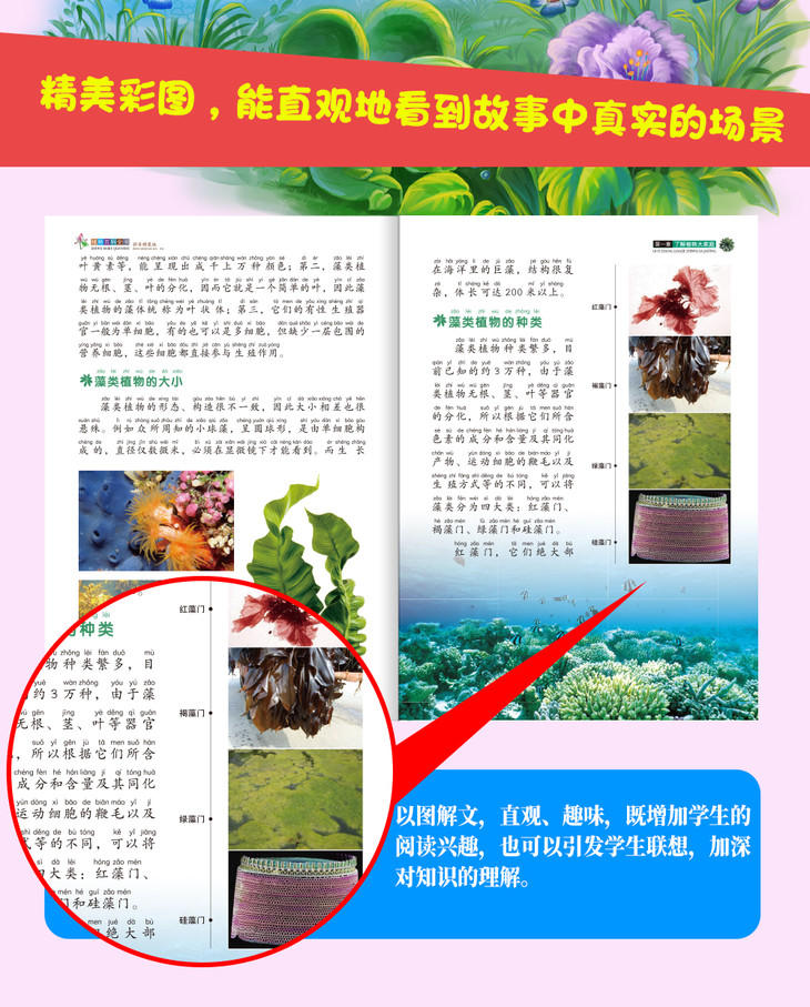 植物百科全书精装彩图注音版植物王国大全3 6 8 10岁儿童揭秘自然探索科学百科丛书幼儿科普启蒙读物趣味书籍小学生课外书硬壳版