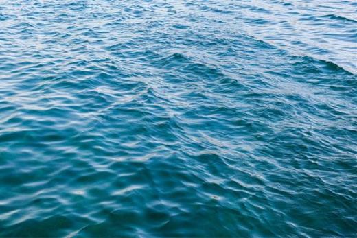 心情不好888
那买个蛋糕77 商品图0