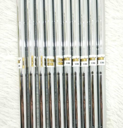 [TP自营] 全新钢杆身杆身TRUE TEMPER Dynamic Gold S300/125g 38英寸 商城价：99元 /团购会员：88元 /会员价:78元/白金价:68元/钻石价：58元 商品图0