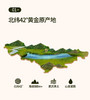 青源堂蒲公英根茶200g/罐JPY带授权招加盟代理 商品缩略图5
