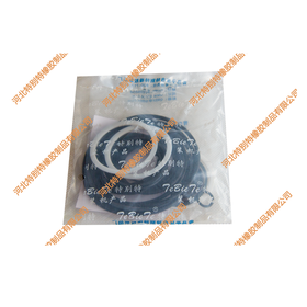 特别特柳汽方向机修理包、十通世宝8575方向机修理包（氟胶）